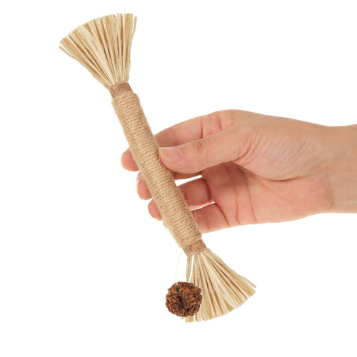 Tandtugg™ – Leksaken som tar hand om Mollys tänder, utan stress!