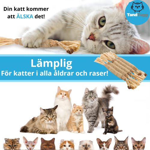 Tandtugg™ – Leksaken som tar hand om Mollys tänder, utan stress!