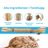 Tandtugg™ – Leksaken som tar hand om Mollys tänder, utan stress!